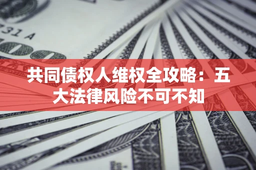 武汉共同债权人维权全攻略：五大法律风险不可不知