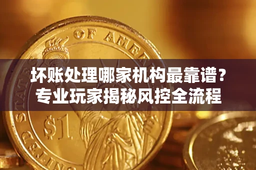 武汉坏账处理哪家机构最靠谱？专业玩家揭秘风控全流程