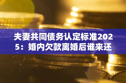 武汉夫妻共同债务认定标准2025：婚内欠款离婚后谁来还？