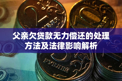 武汉父亲欠贷款无力偿还的处理方法及法律影响解析