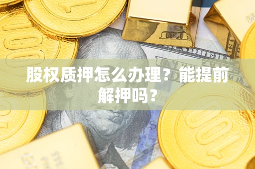 武汉股权质押怎么办理？能提前解押吗？